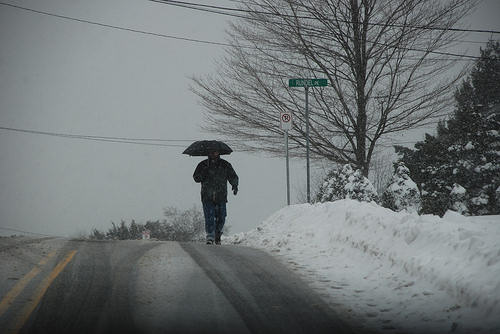Walking on Ashmont: By Rundel Park