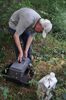 Bruce Landers: Sets a trap in Lower Mills