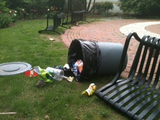 Vandals trashed library's outdoor reading area