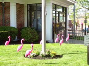 A Hurley flock at Meetinghouse Bank