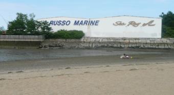 Tenean Beach 