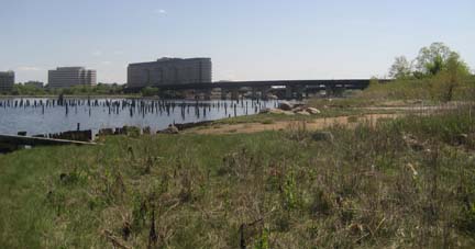 Port Norfolk's waterfront: Seized by eminent domain in 1986, this former industrial site will become parkland after a three-year clean-up that begins in 2014. Photo by Bill Forry