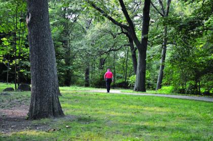 DOT PARK : Ed Forry retraced his steps on a quiet path in Dorchester Park on Tuesday evening. This is the same path on which Forry was accosted on Sunday afternoon. 	Bill Forry photo