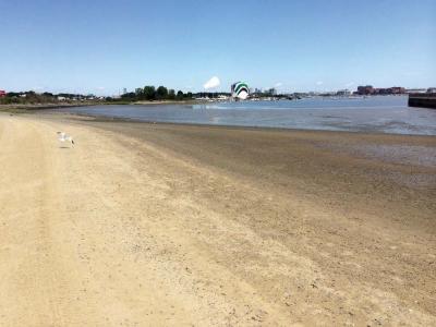 Tenean Beach, shown above on Tuesday morning, has struggled with water quality problems this summer. One beach goer who spoke to the Reporter on Tuesday that she enjoys sunbathing, but avoids going in the water: “I’d never go in the water here,” she said. “It’s really quite sad, but the one time I did swim here it took two weeks to get all the stuff off of my feet.” Charlie Dorf photo