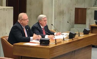 At-large city councillors Stephen Murphy and Michael Flaherty head hearing on replica firearms. Jennifer Smith photo