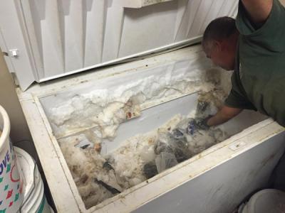 Fish freezer: Inspectors say this container was used to store frozen fish.