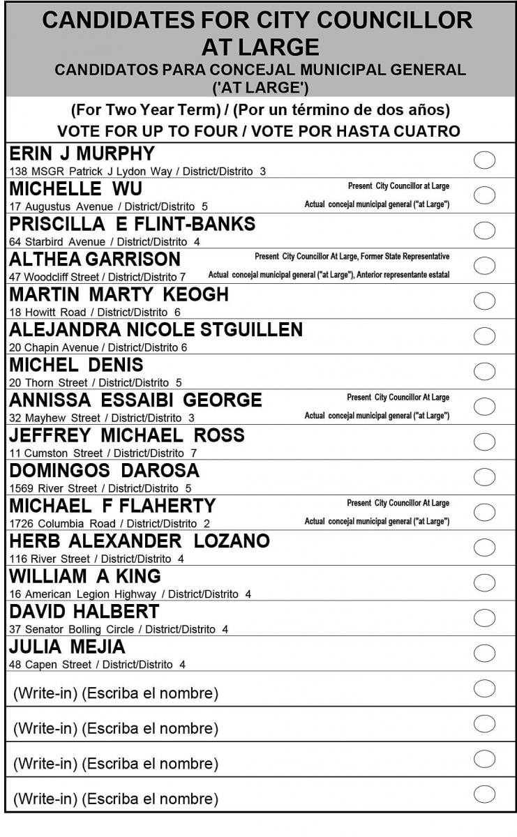 Ballot_Atlarge Candidates copy.jpg
