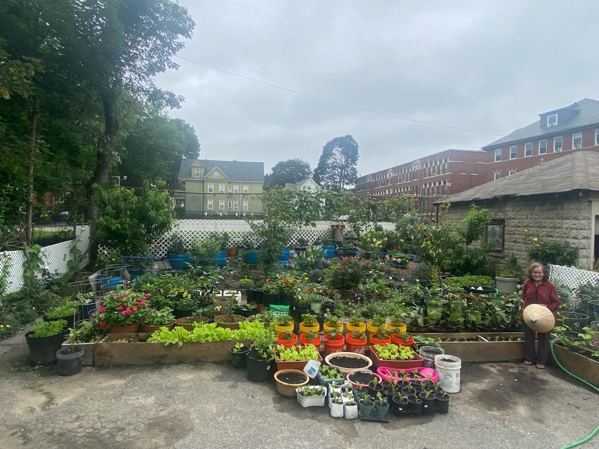 p1 fields corner garden REP 31-21.jpeg