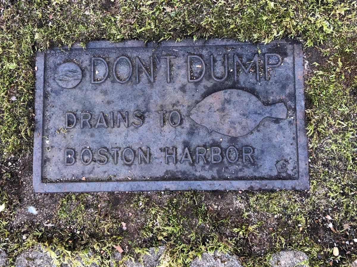 p1 dont dump drain logo REP 5-22JPEG_0.JPEG