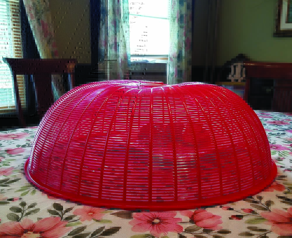 p11 WestSideStoriesRedPlastic.jpg