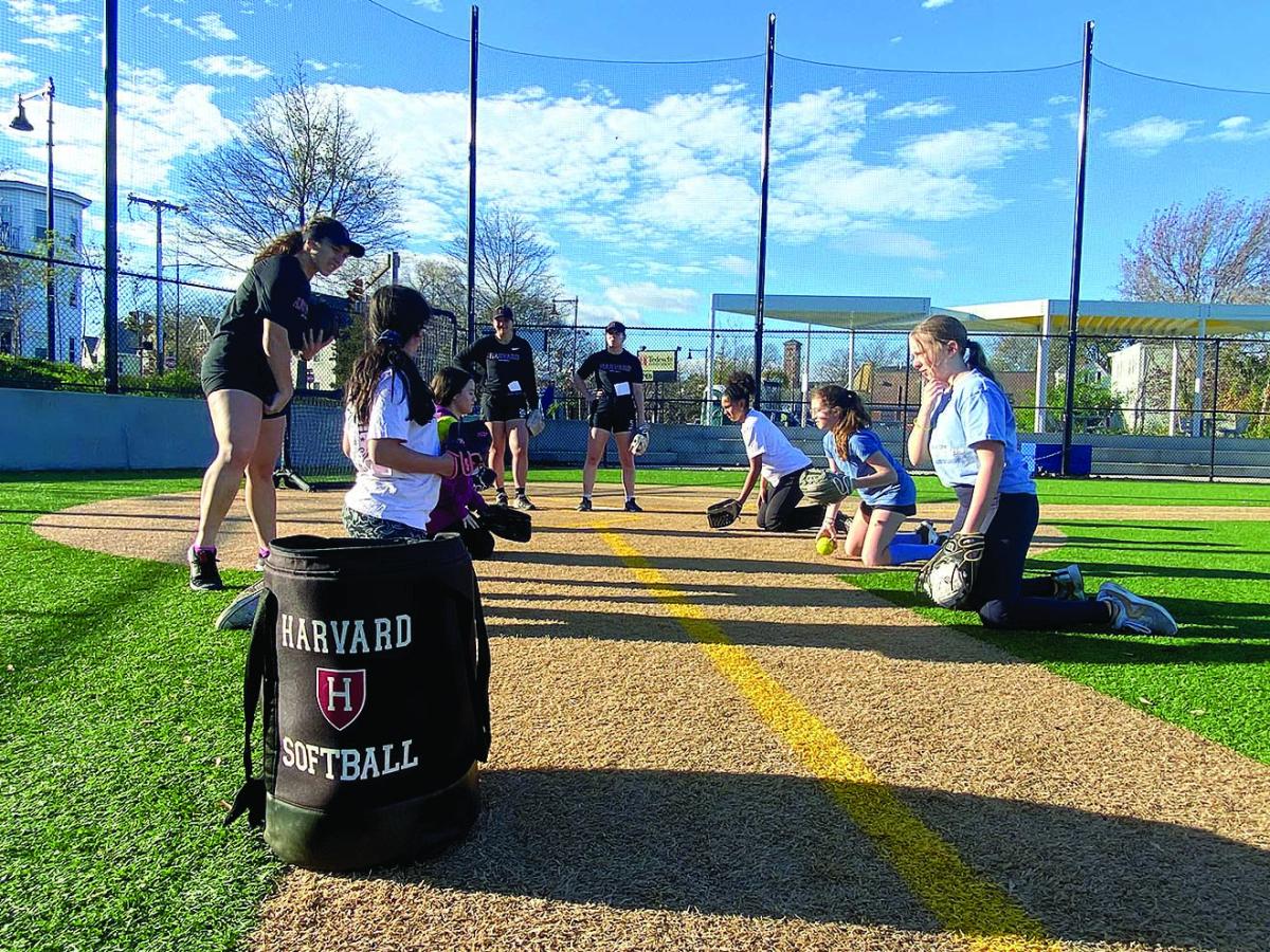 HarvardSoftballPartnership.jpg