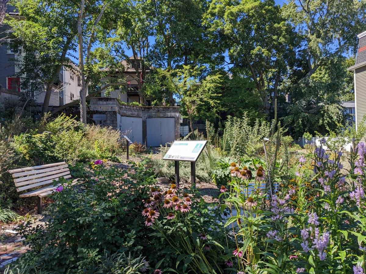 Upham's Corner Food Forest (after).jpg