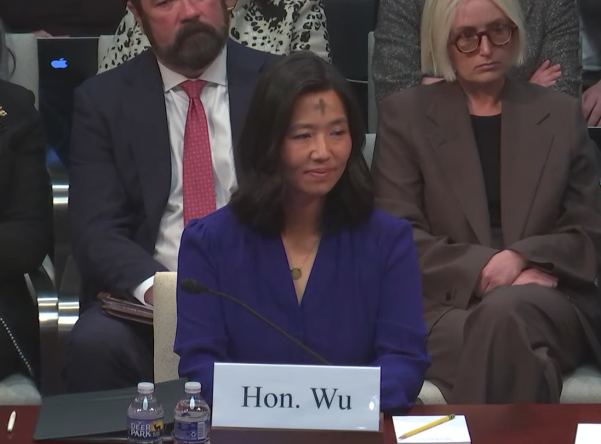 Wu before Congress _0.png