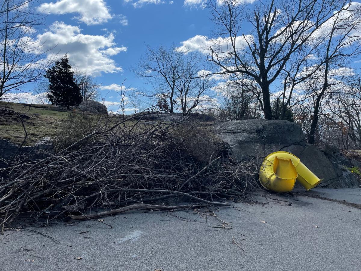 Savin Hill debris 2022.jpg